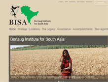 Tablet Screenshot of bisa.org
